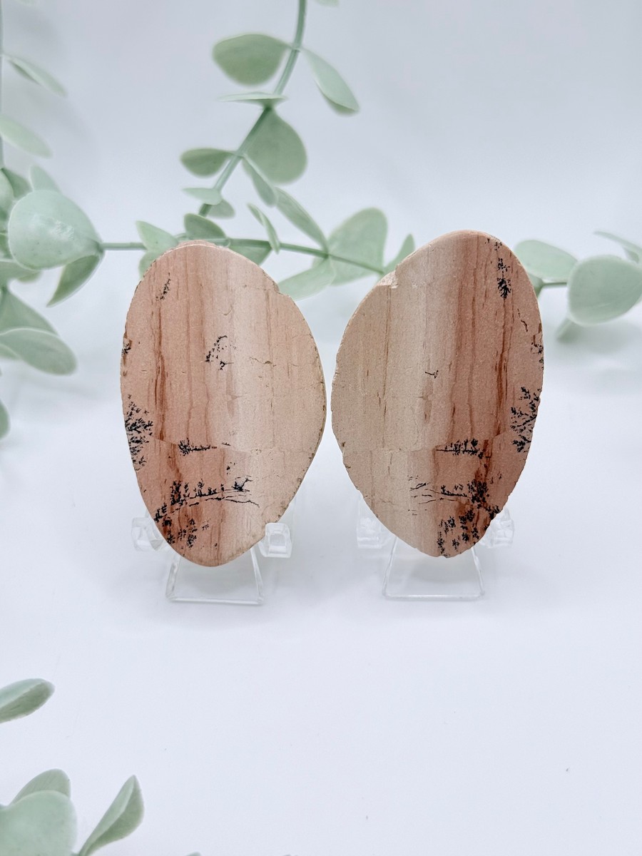Dendritic Jasper Pair - Amanda