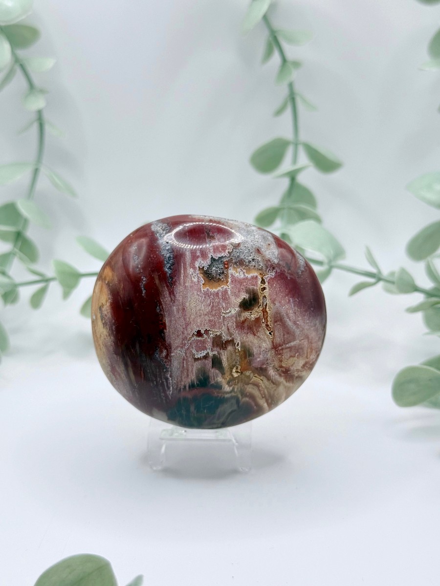 Petrified Wood