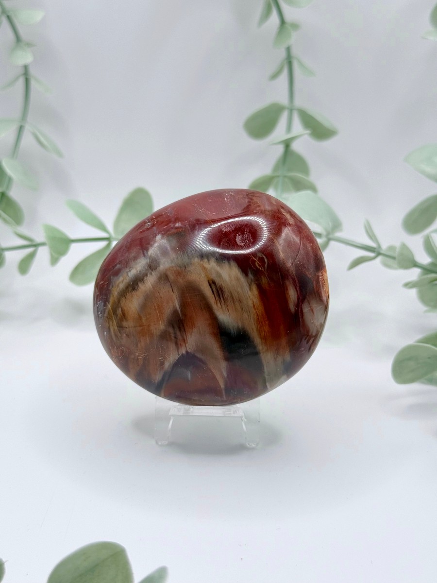 Petrified Wood
