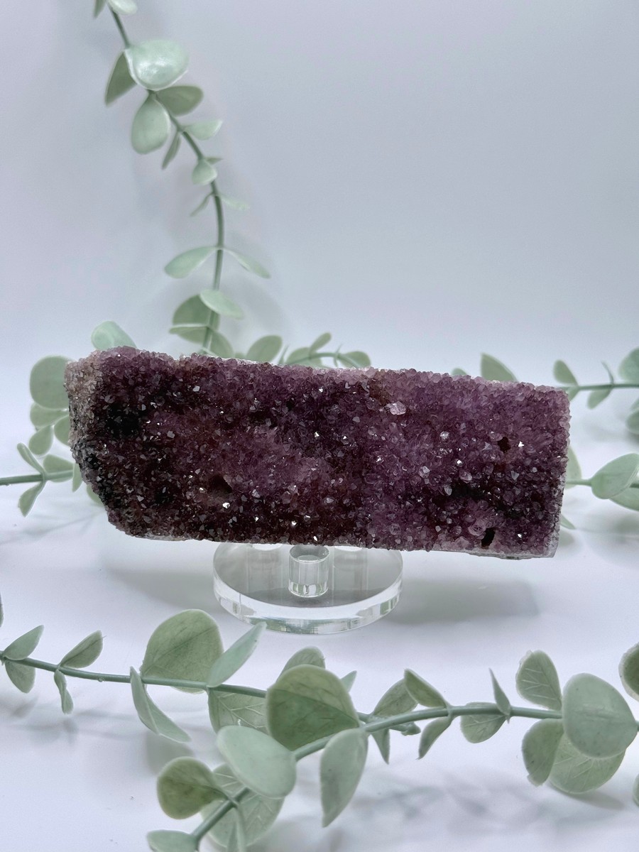 Alacam Amethyst   Amanda