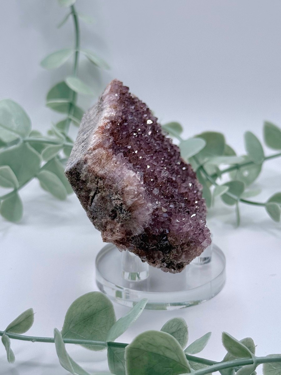 Alacam Amethyst  Amanda