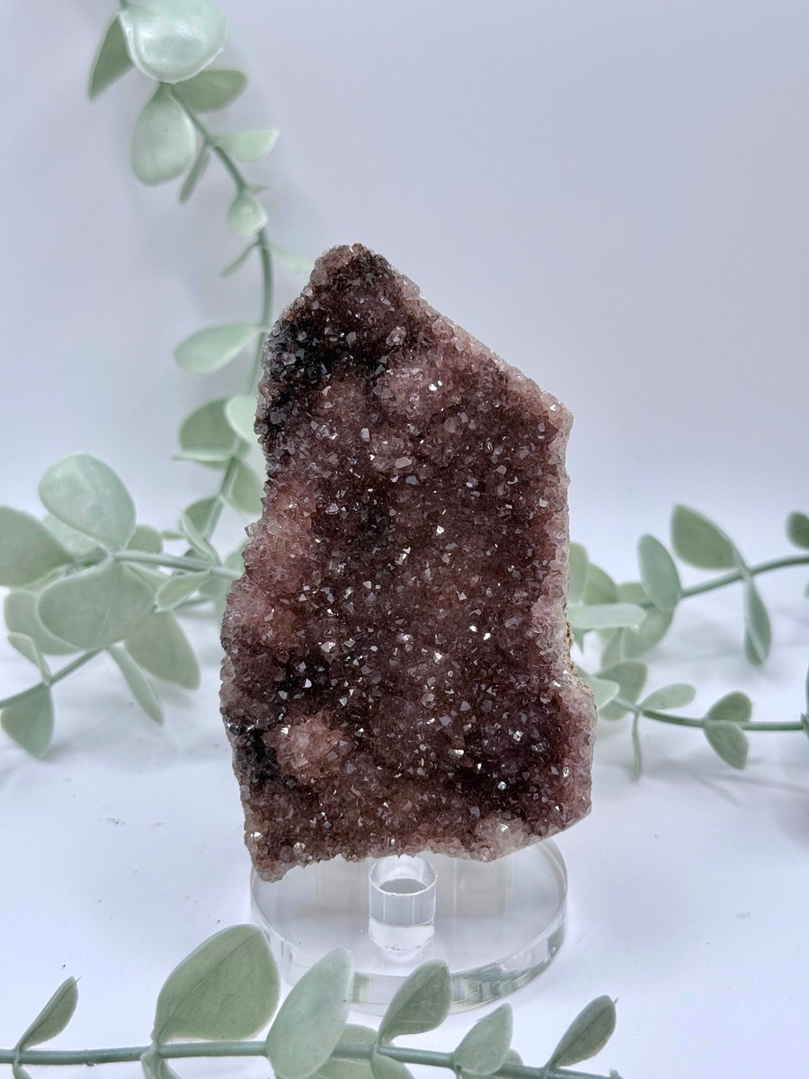 Alacam Amethyst Amanda