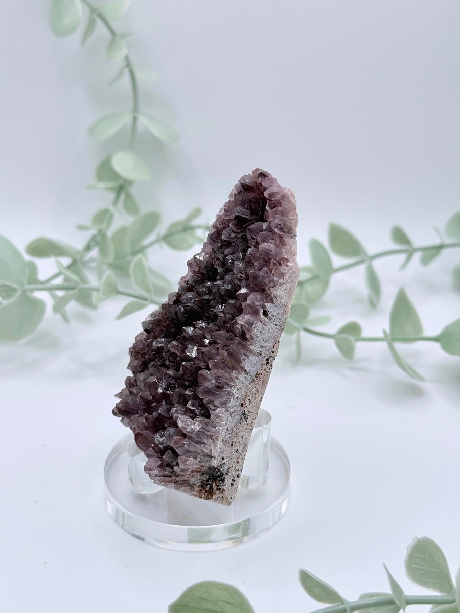 Alacam Amethyst  Amanda