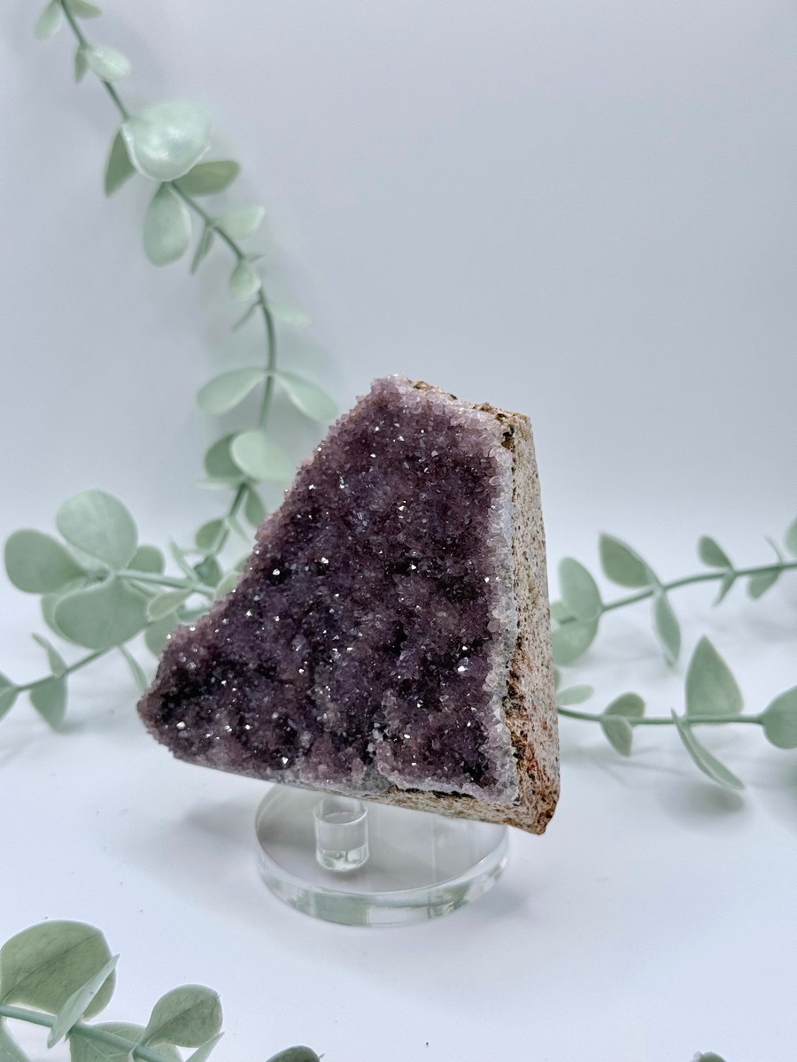 Alacam Amethyst  Amanda