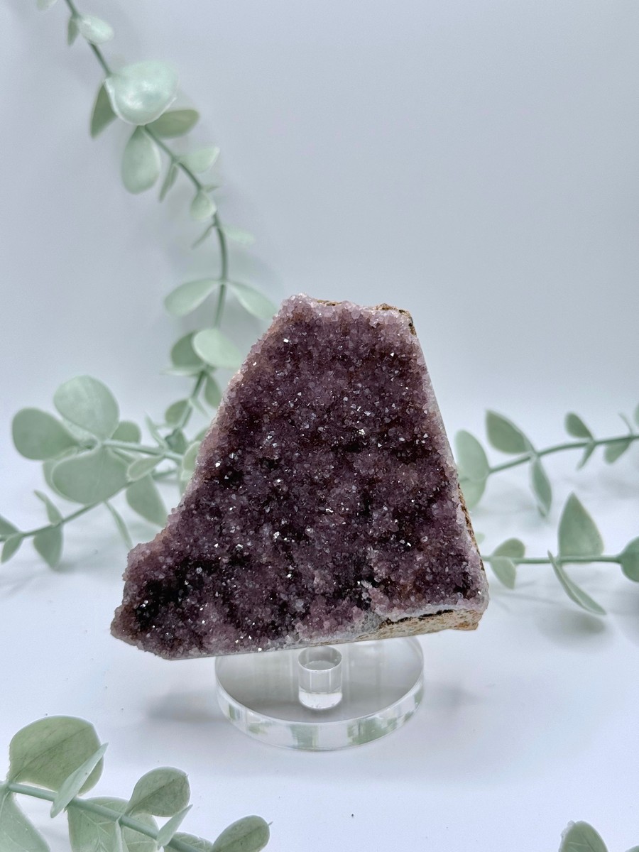 Alacam Amethyst  Amanda