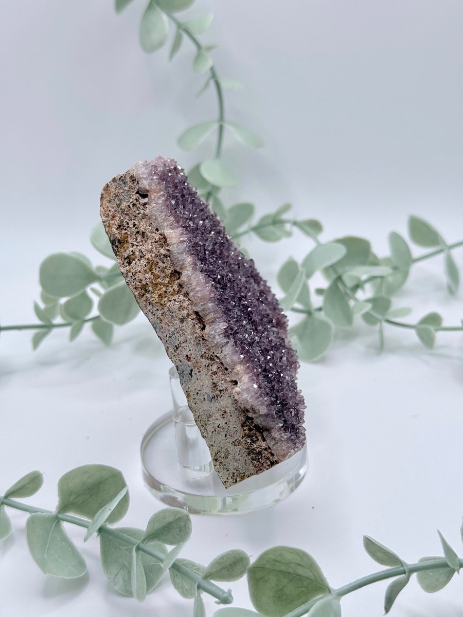 Alacam Amethyst  Amanda