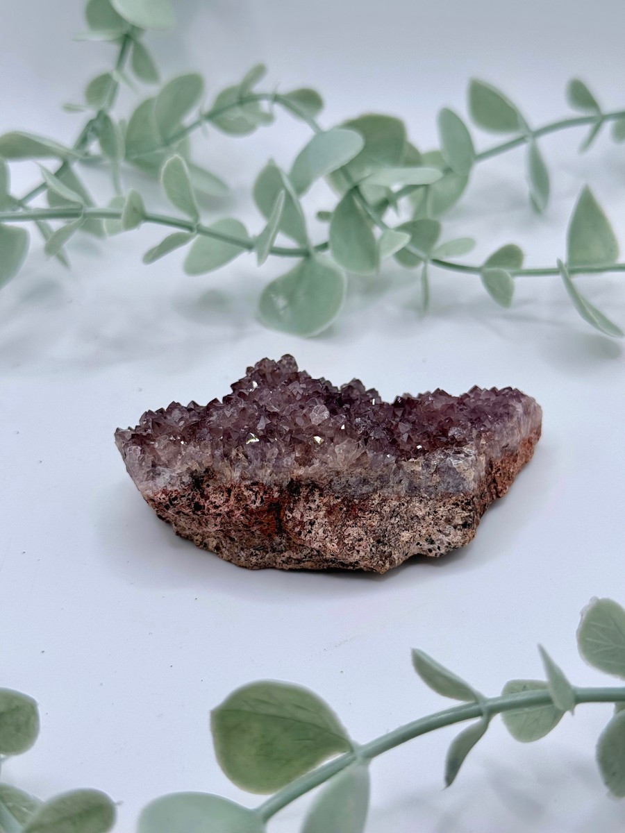 Alacam Amethyst   Amanda