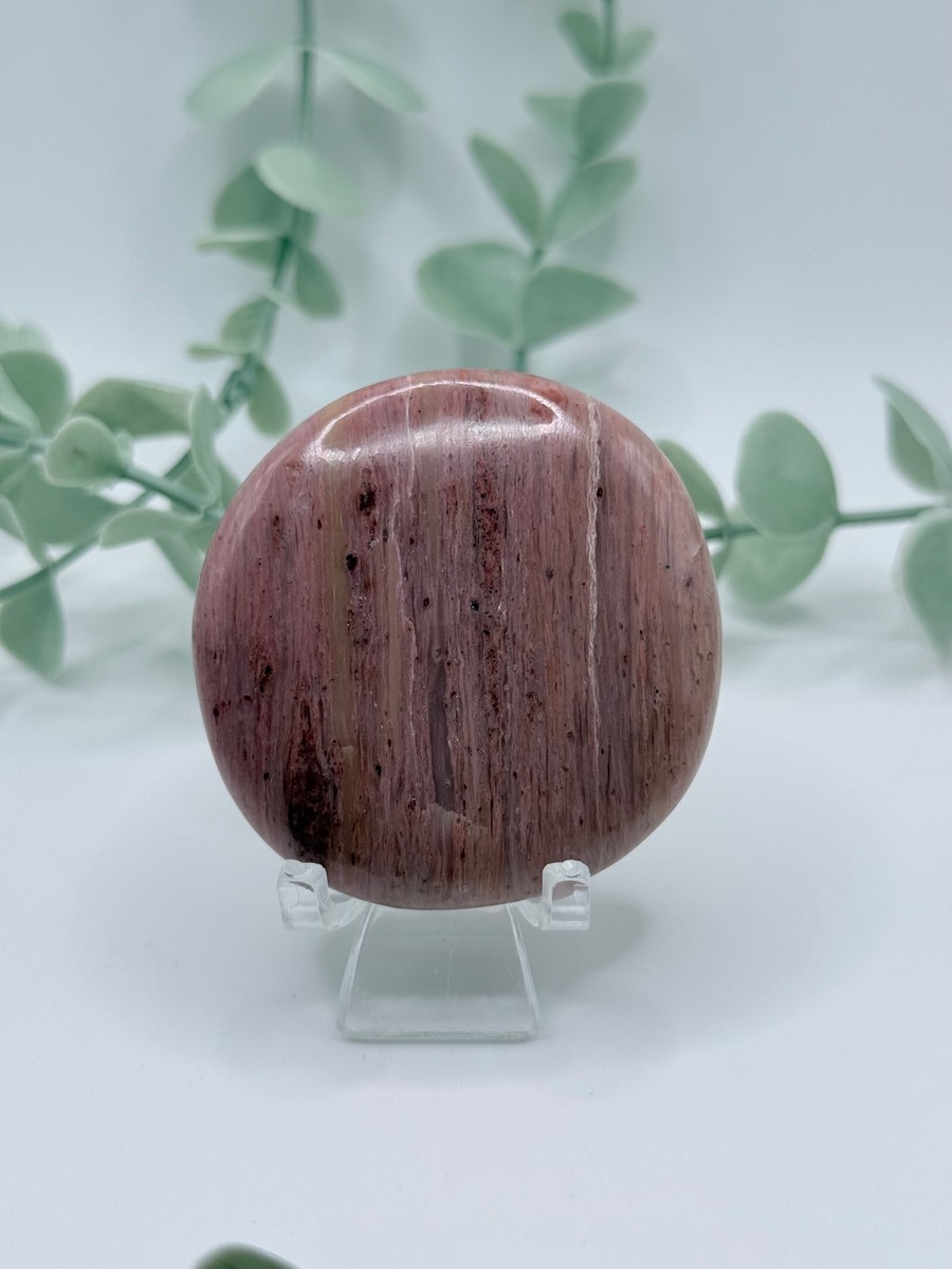 Petrified Wood Cookie