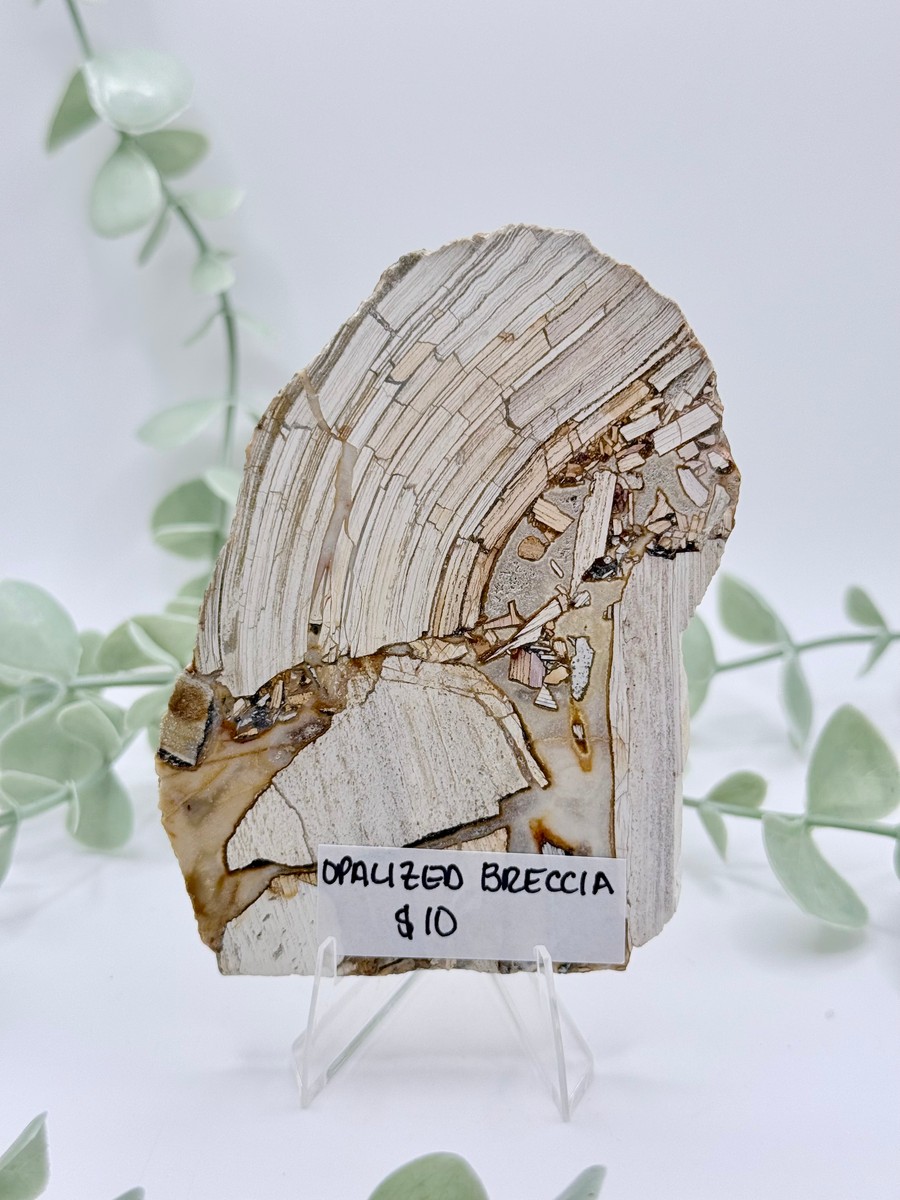 Opalized Breccia Slice
