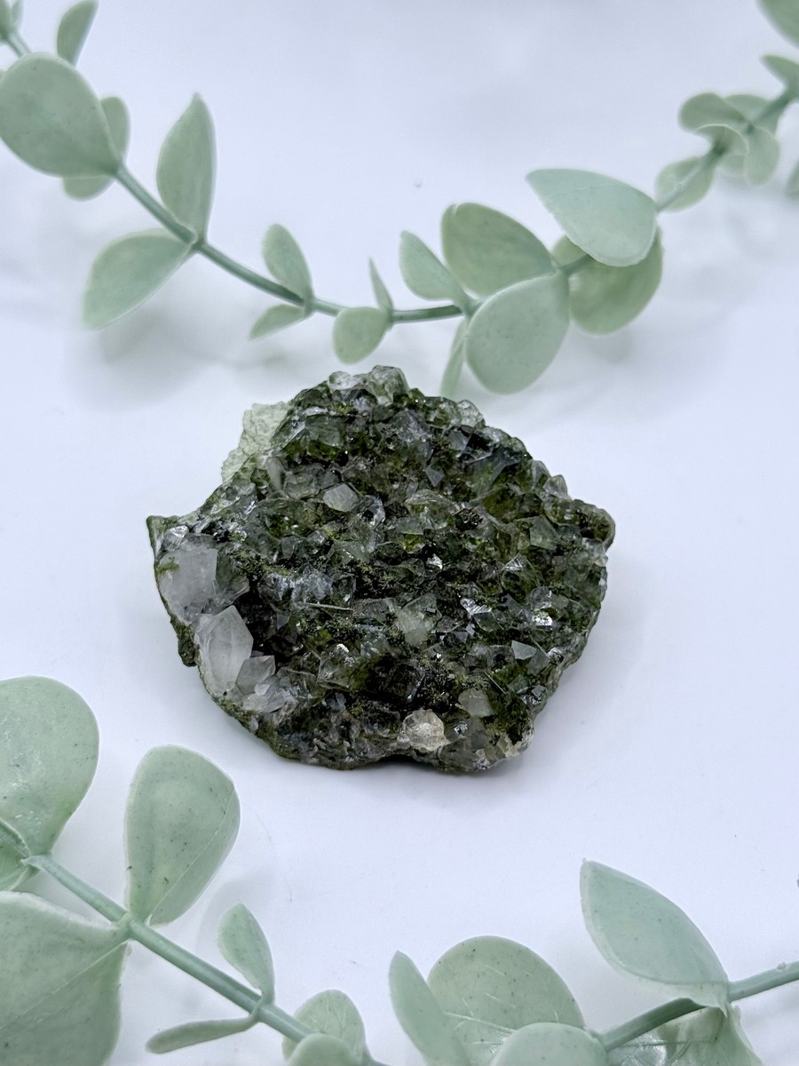 Fairy Forest Epidote With Quartz
