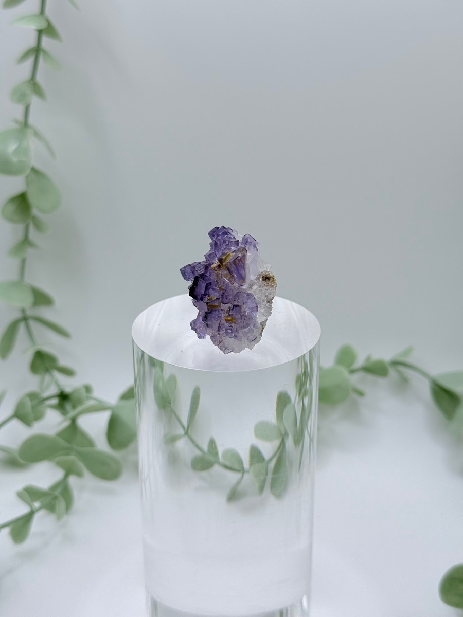 Small Purple Cubic Fluorite