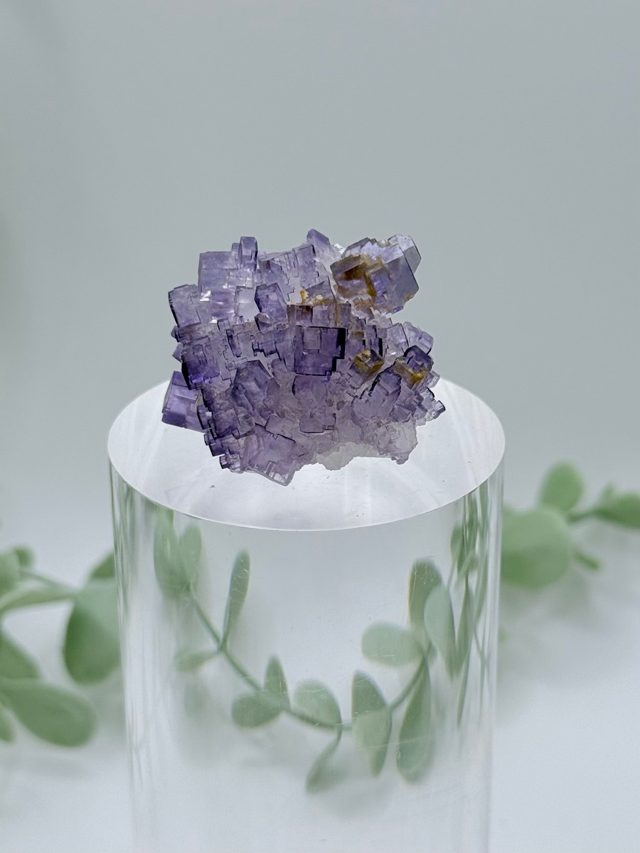 Small Purple Cubic Fluorite