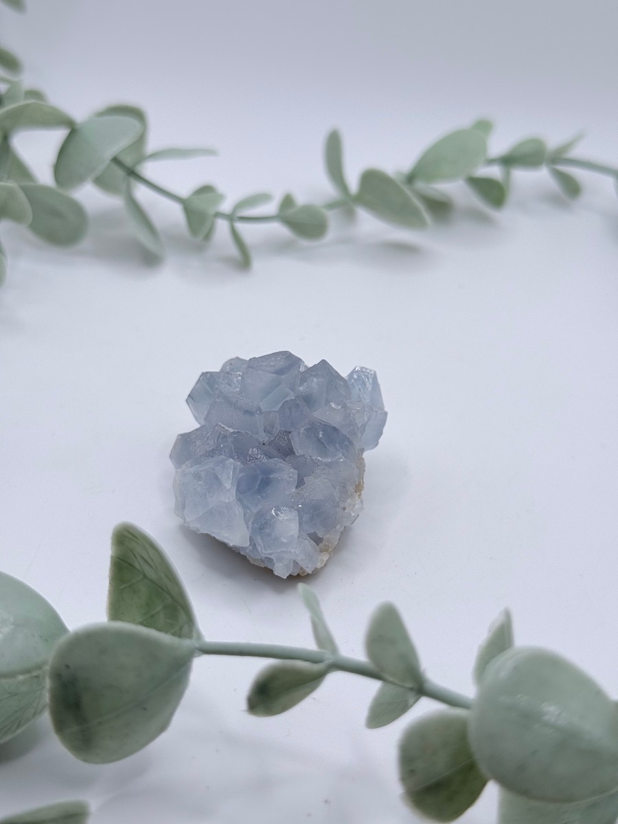 Celestite Cluster