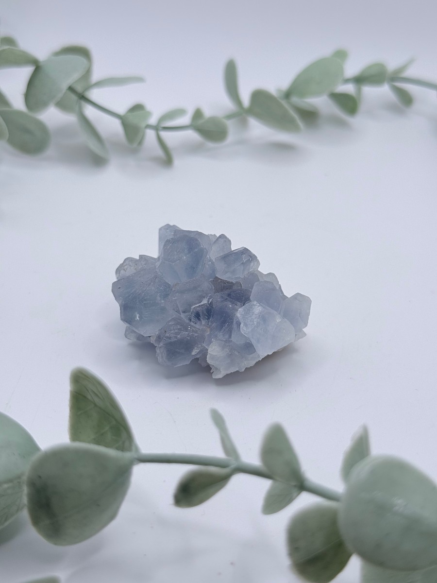 Celestite Cluster