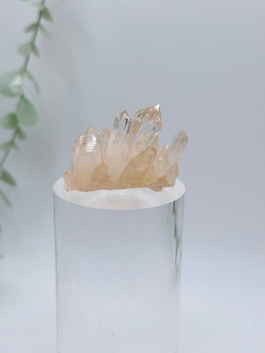 Himalayan Quartz Cluster