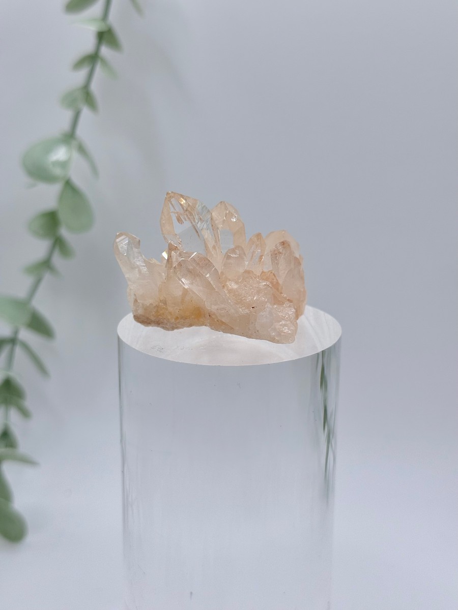 Himalayan Quartz Cluster