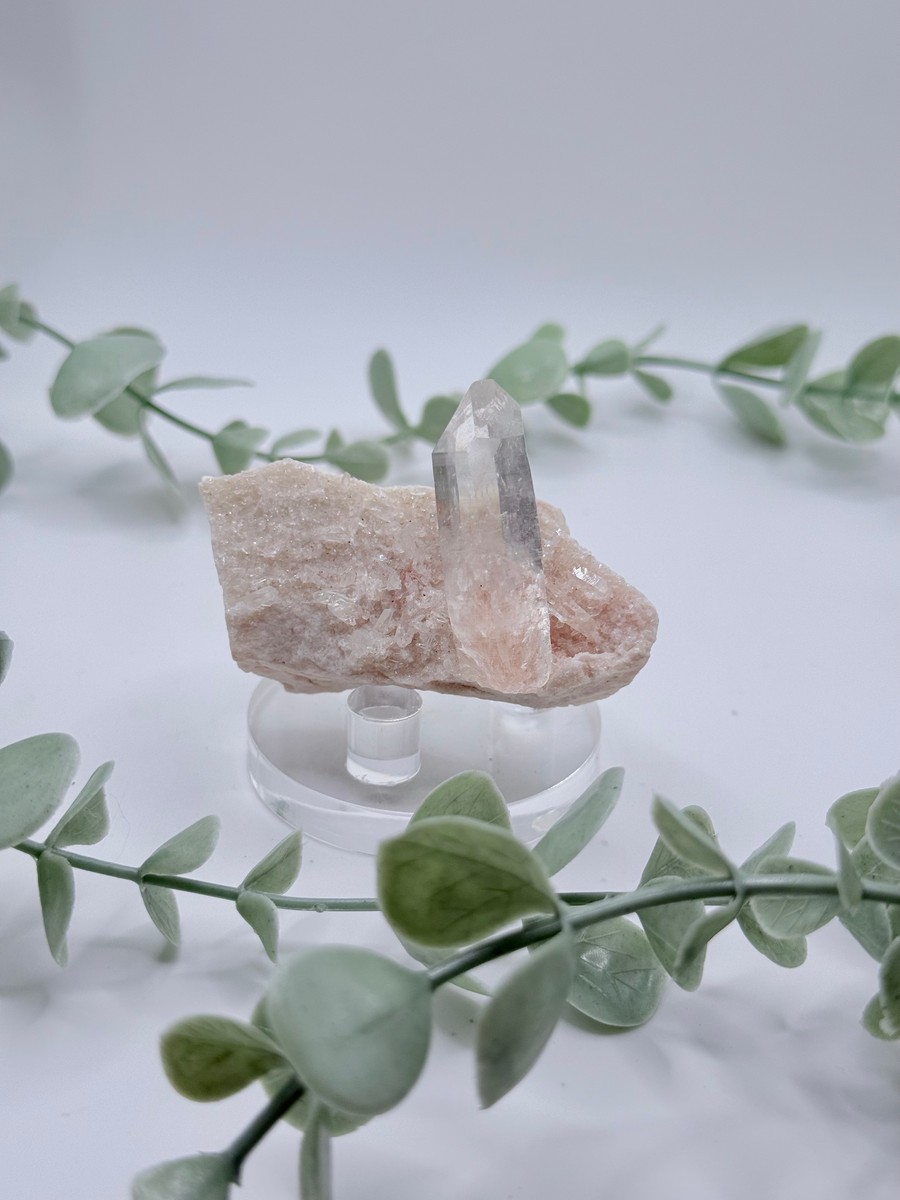 Himalayan Quartz Cluster