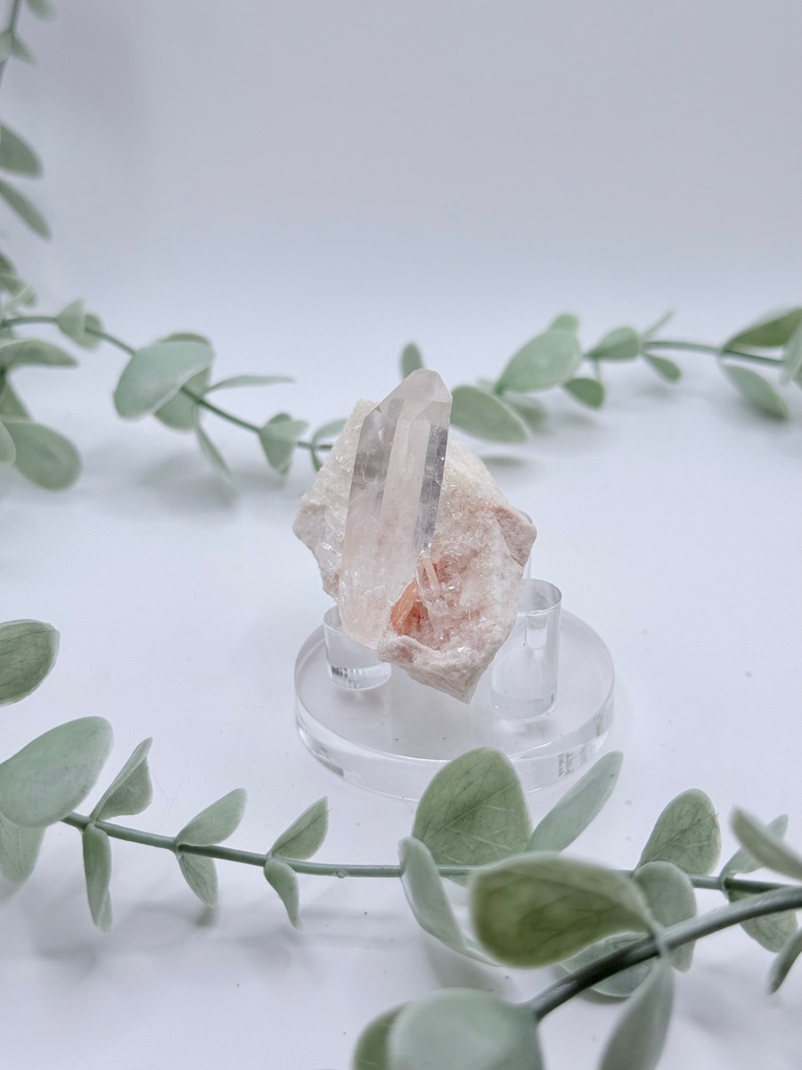 Himalayan Quartz Cluster