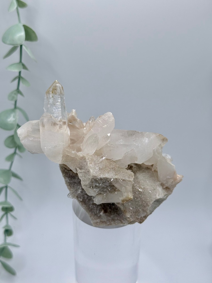 Himalayan Quartz Cluster