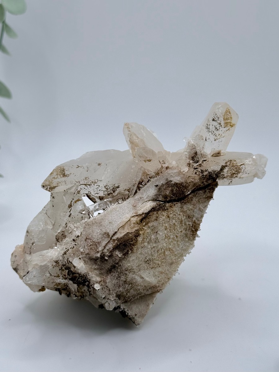 Himalayan Quartz Cluster