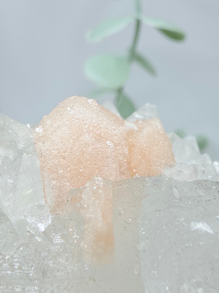 Diamond Apophyllite With Stilbite