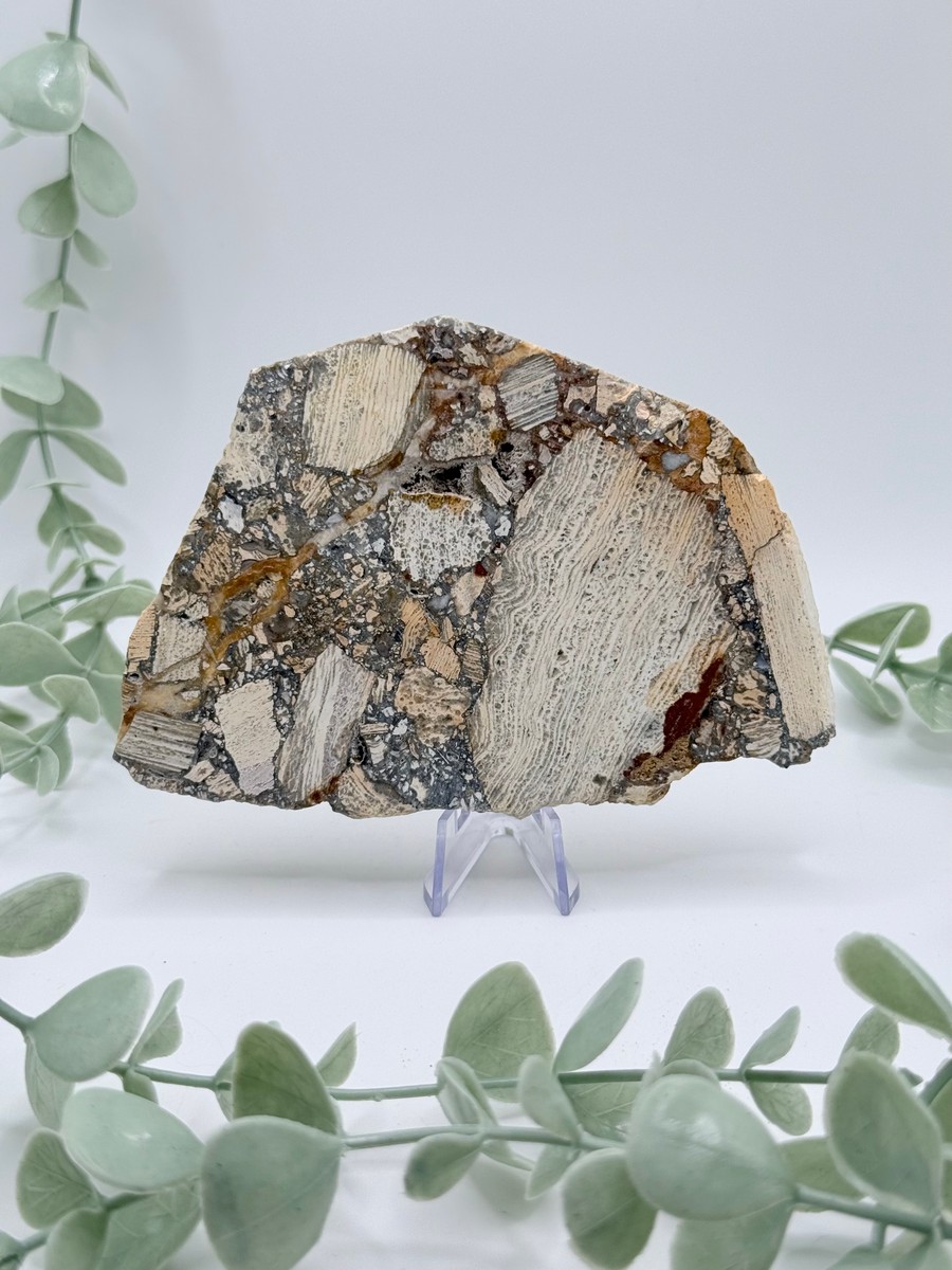 Opalized Breccia Slice - B
