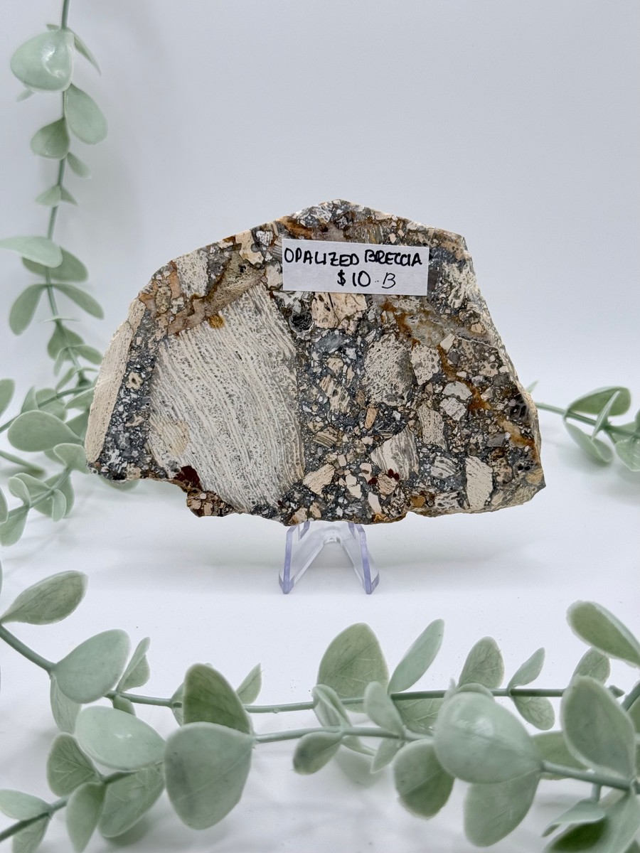 Opalized Breccia Slice - B