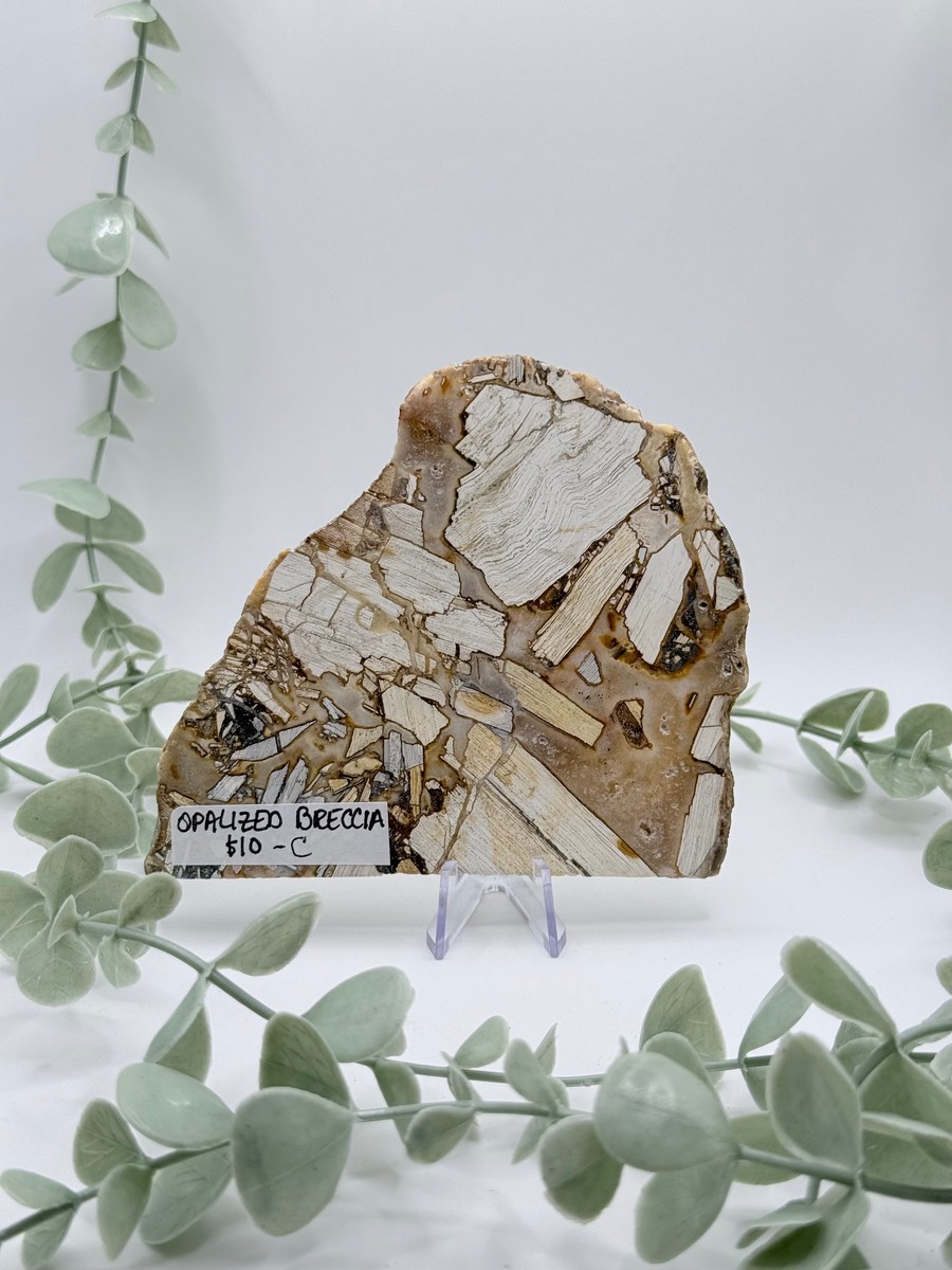 Opalized Breccia Slice - C
