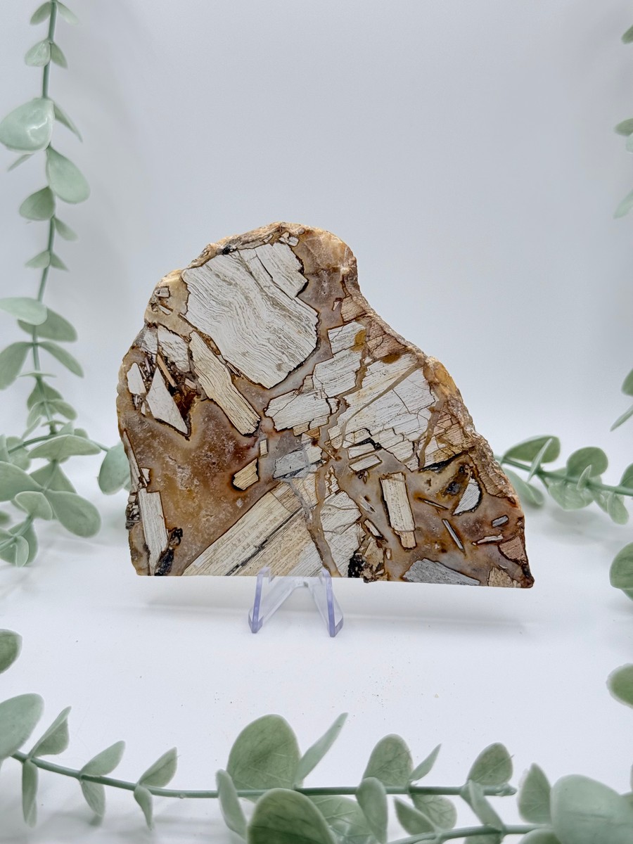 Opalized Breccia Slice - C