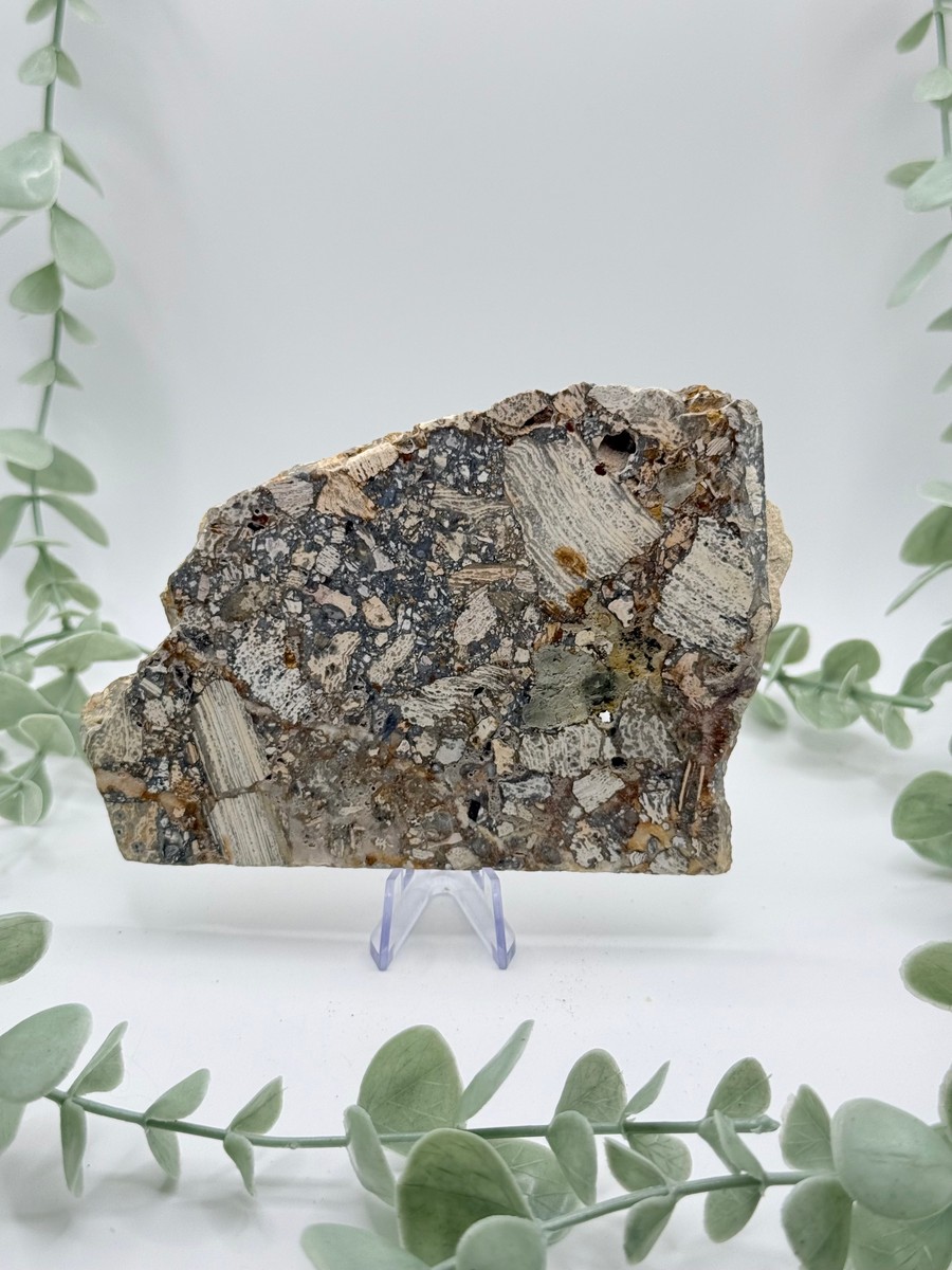 Opalized Breccia Slice - D