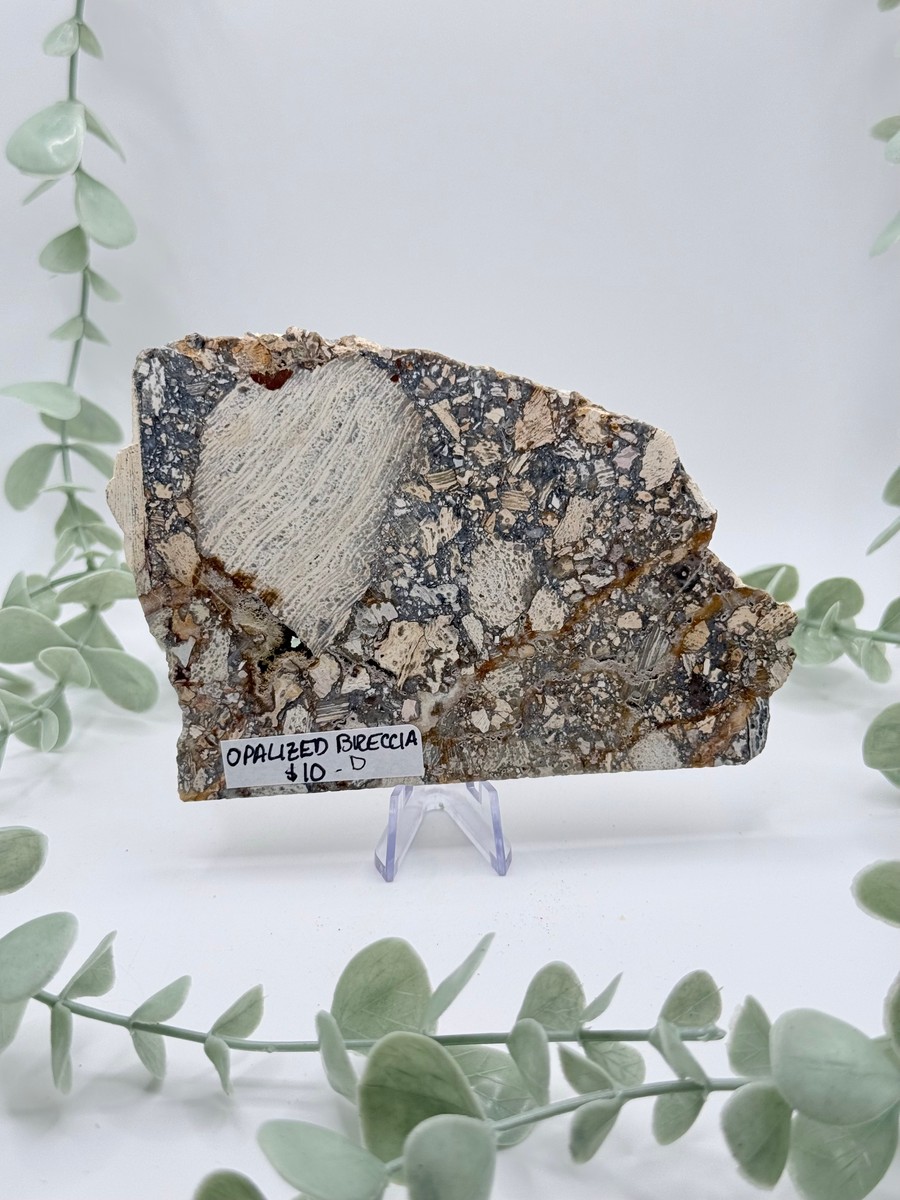 Opalized Breccia Slice - D