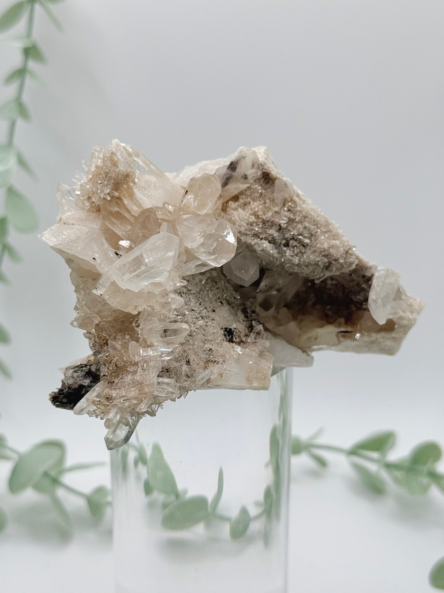 Himalayan Quartz Cluster