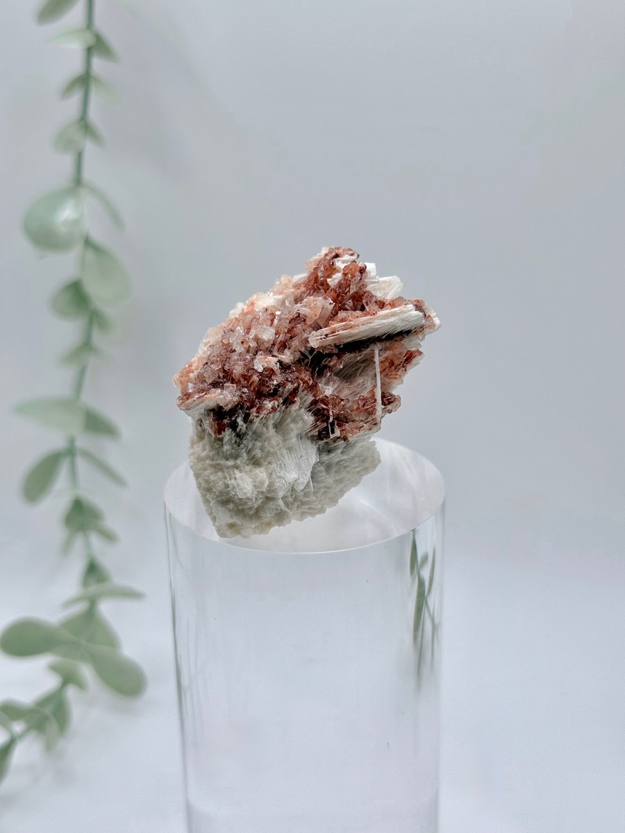 Apophyllite With Hematite On Mordenite