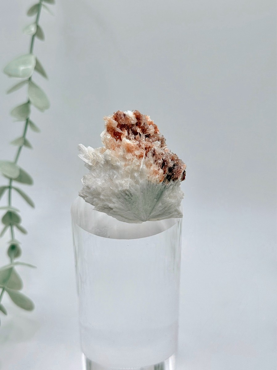 Apophyllite With Hematite On Mordenite