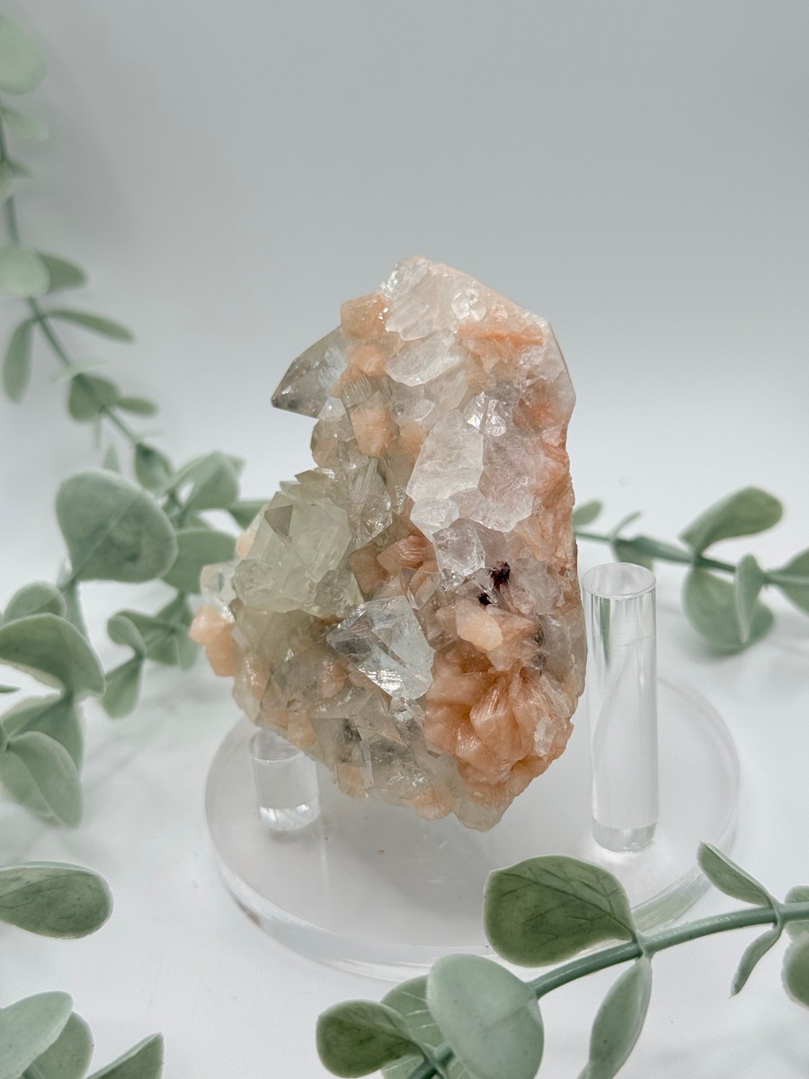 Diamond Apophyllite With Peach Stilbite