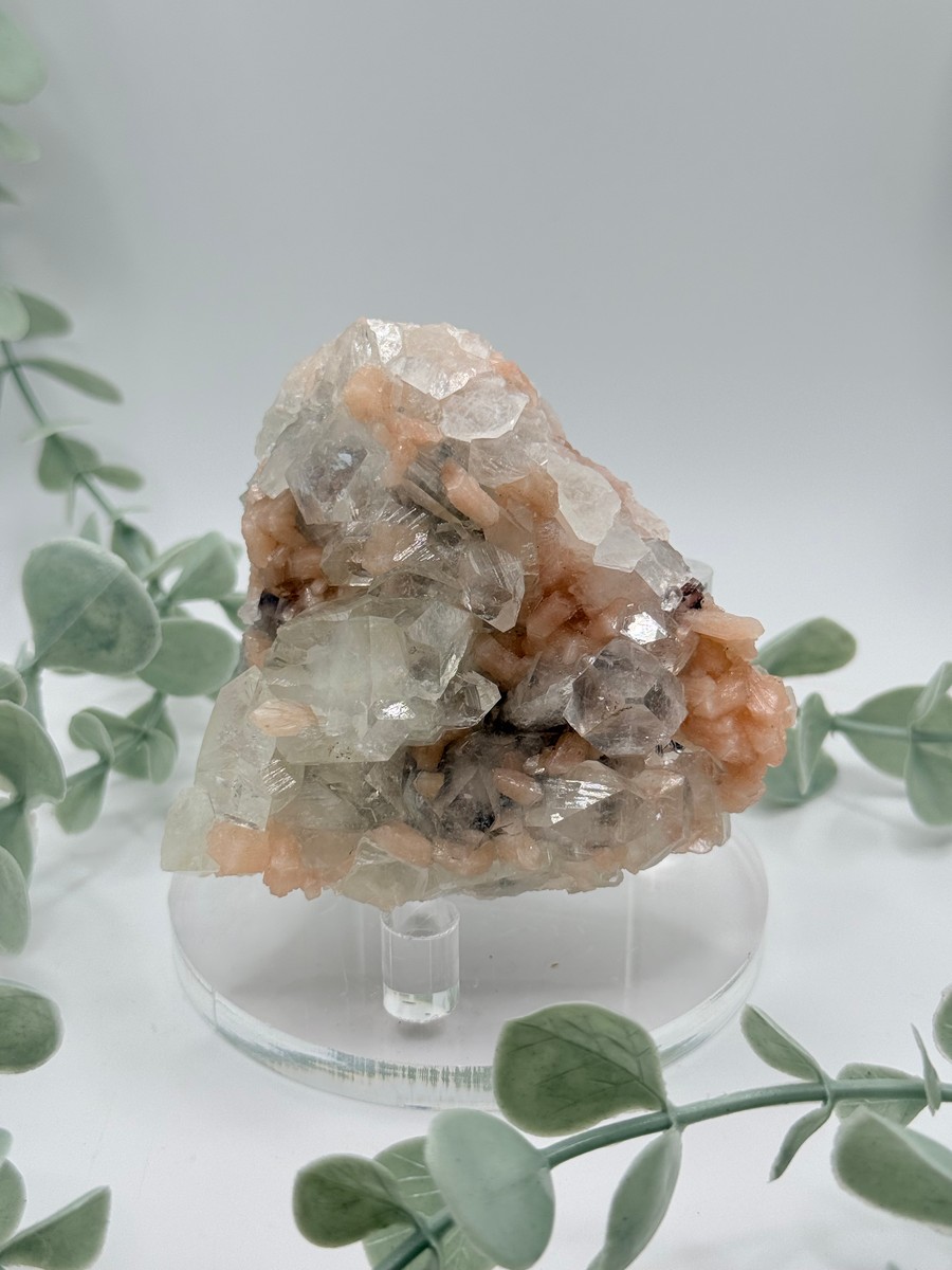 Diamond Apophyllite With Peach Stilbite