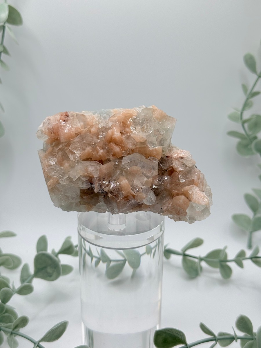 Diamond Apophyllite With Peach Stilbite