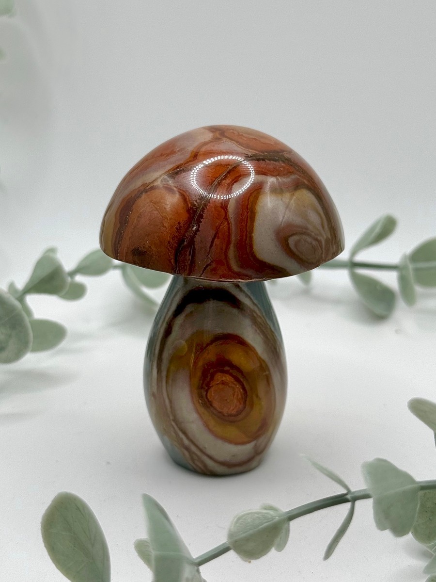 Polychrome Jasper Mushroom