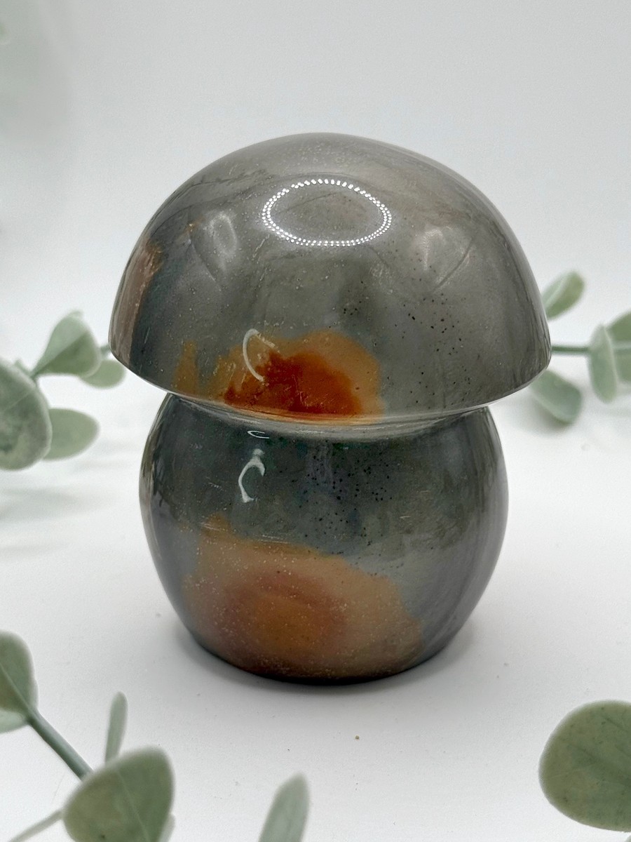 Polychrome Jasper Mushroom
