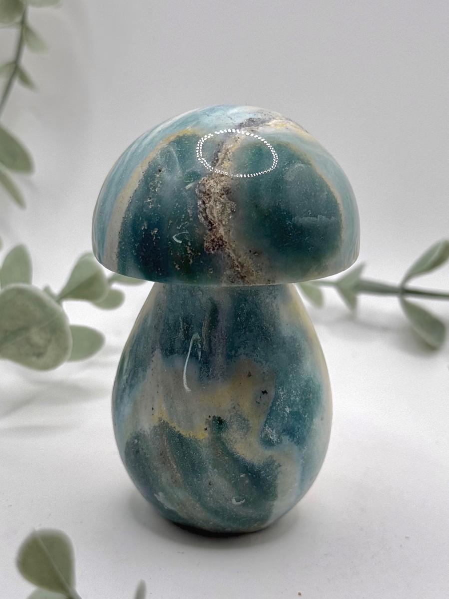 Sea Jasper Mushroom