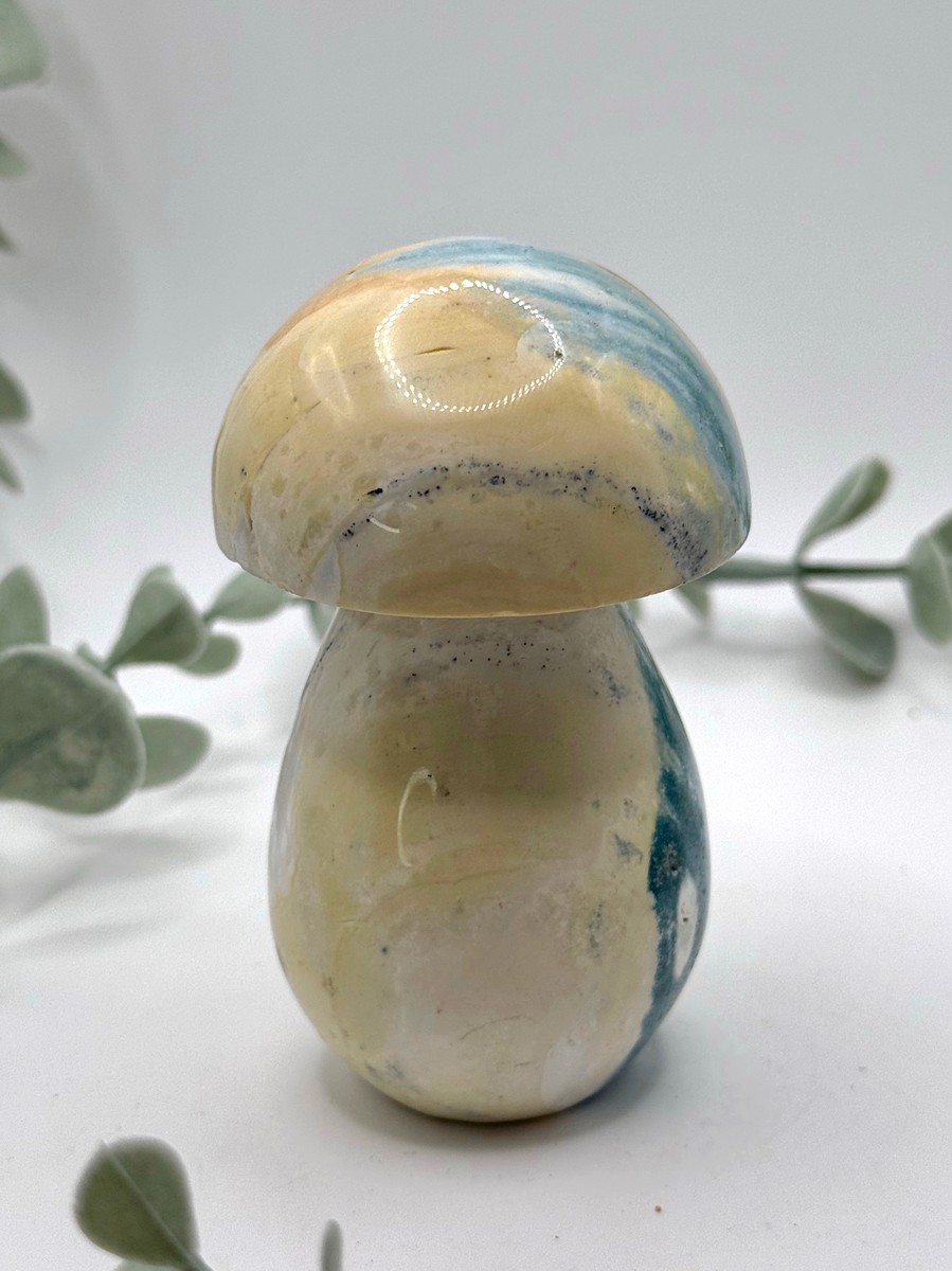Sea Jasper Mushroom
