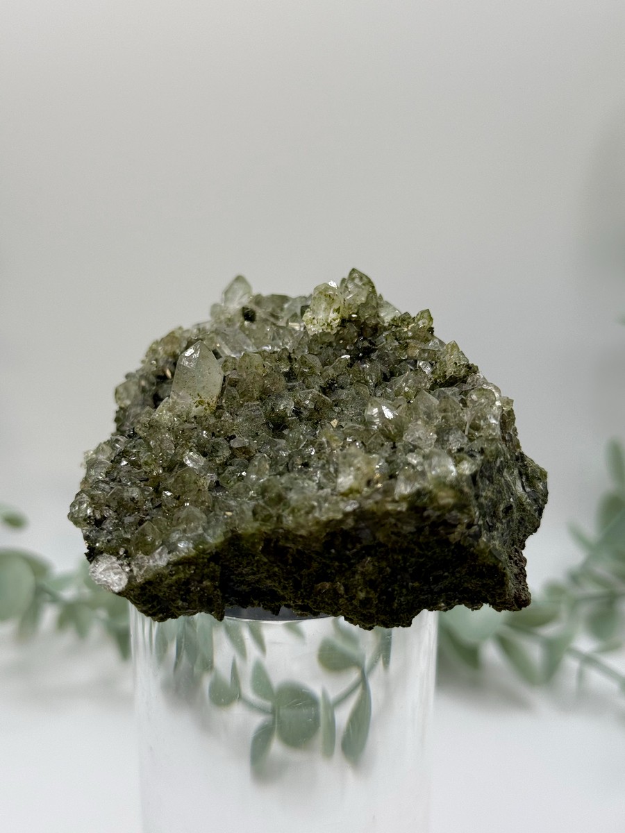 Fairy Forest Epidote With Quartz