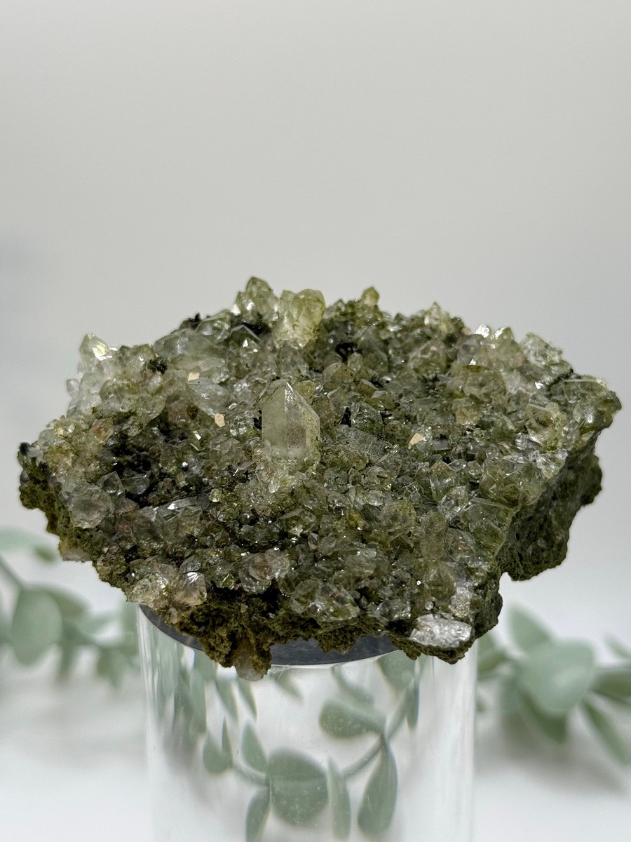 Fairy Forest Epidote With Quartz