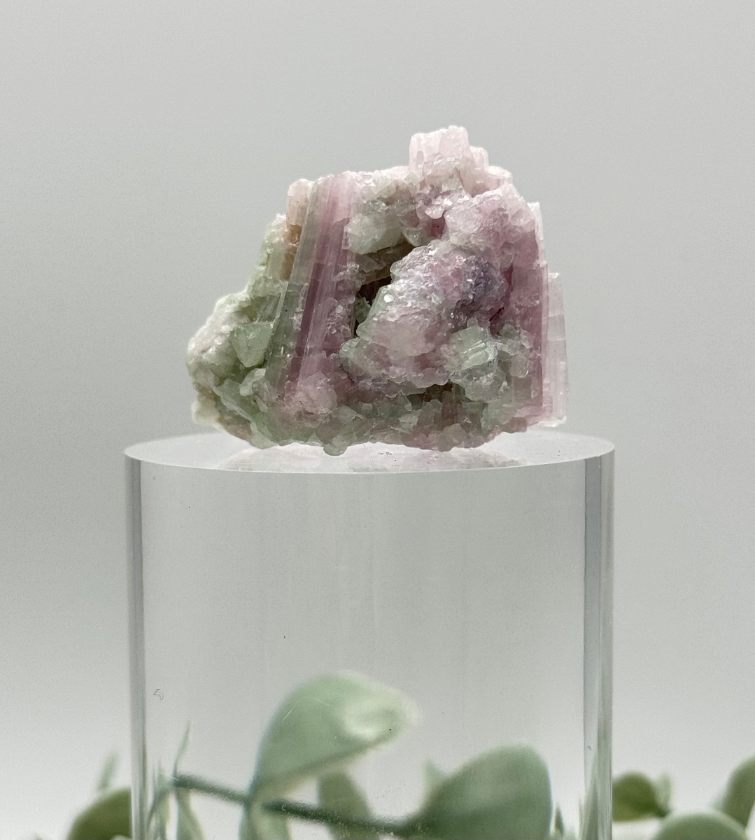 Watermelon Tourmaline