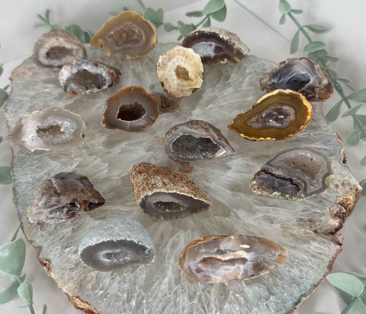 Small Agates - Earthy