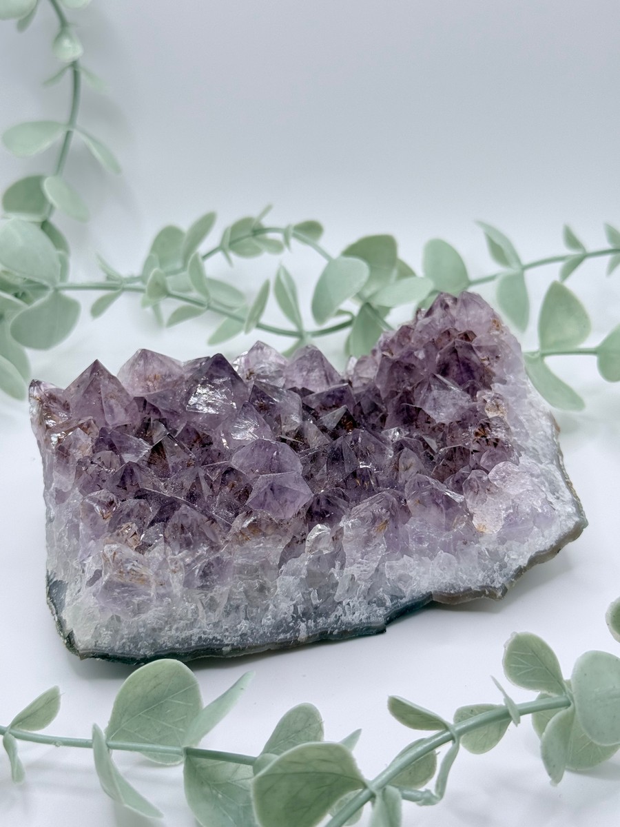 Amethyst Quartz Cluster - Brazil no photo