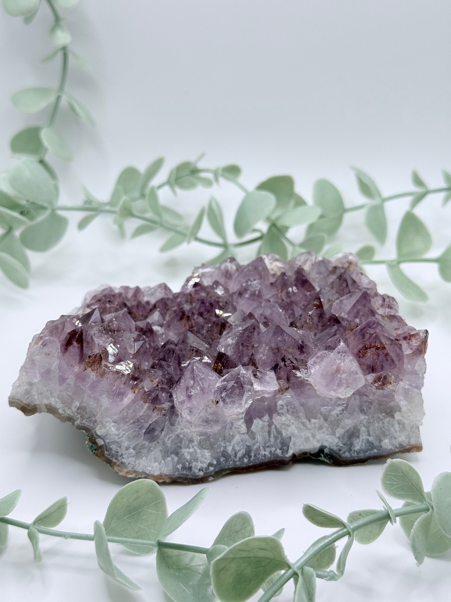 Amethyst Quartz Cluster - Brazil no photo