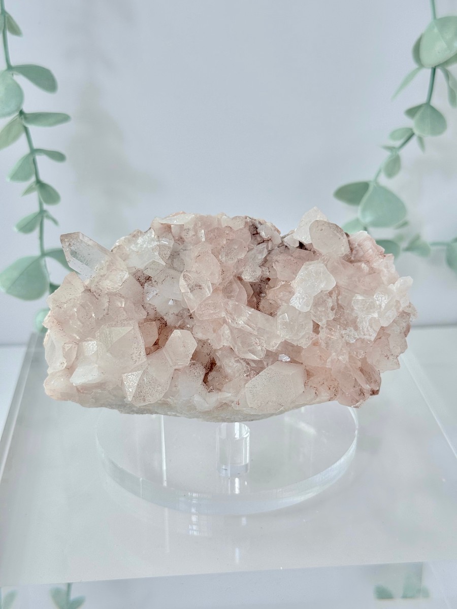 Pink Himalayan Quartz Cluster