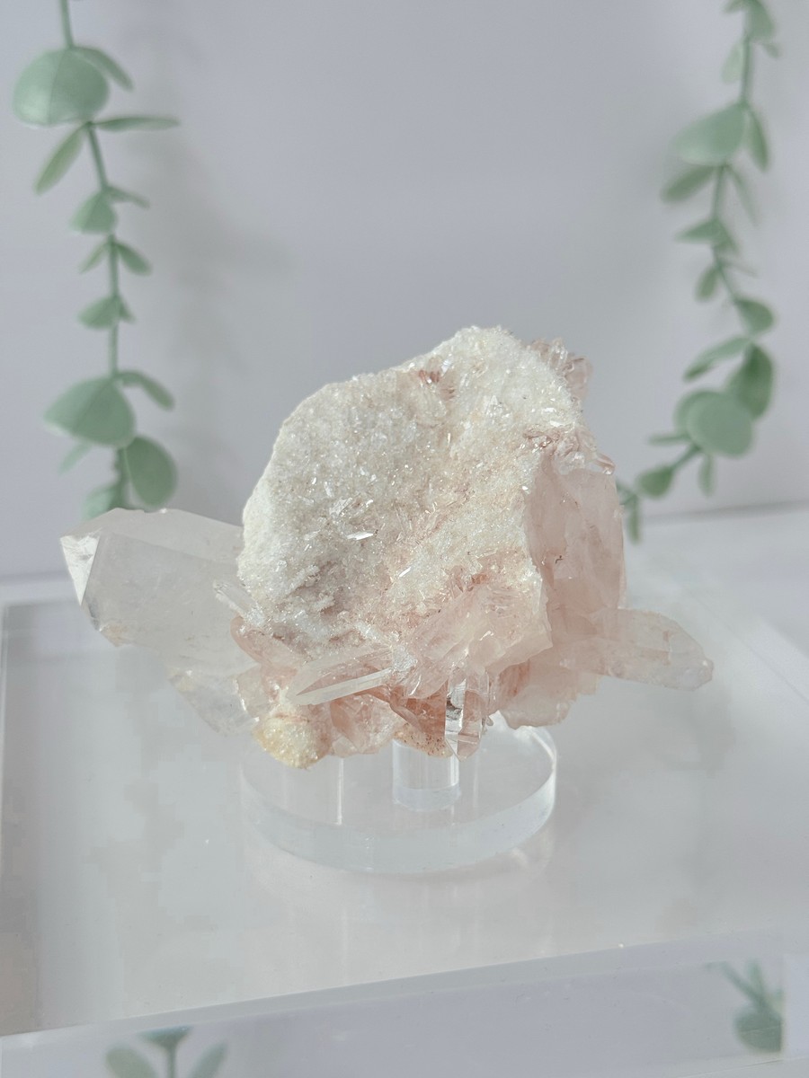 Himalayan Quartz Cluster