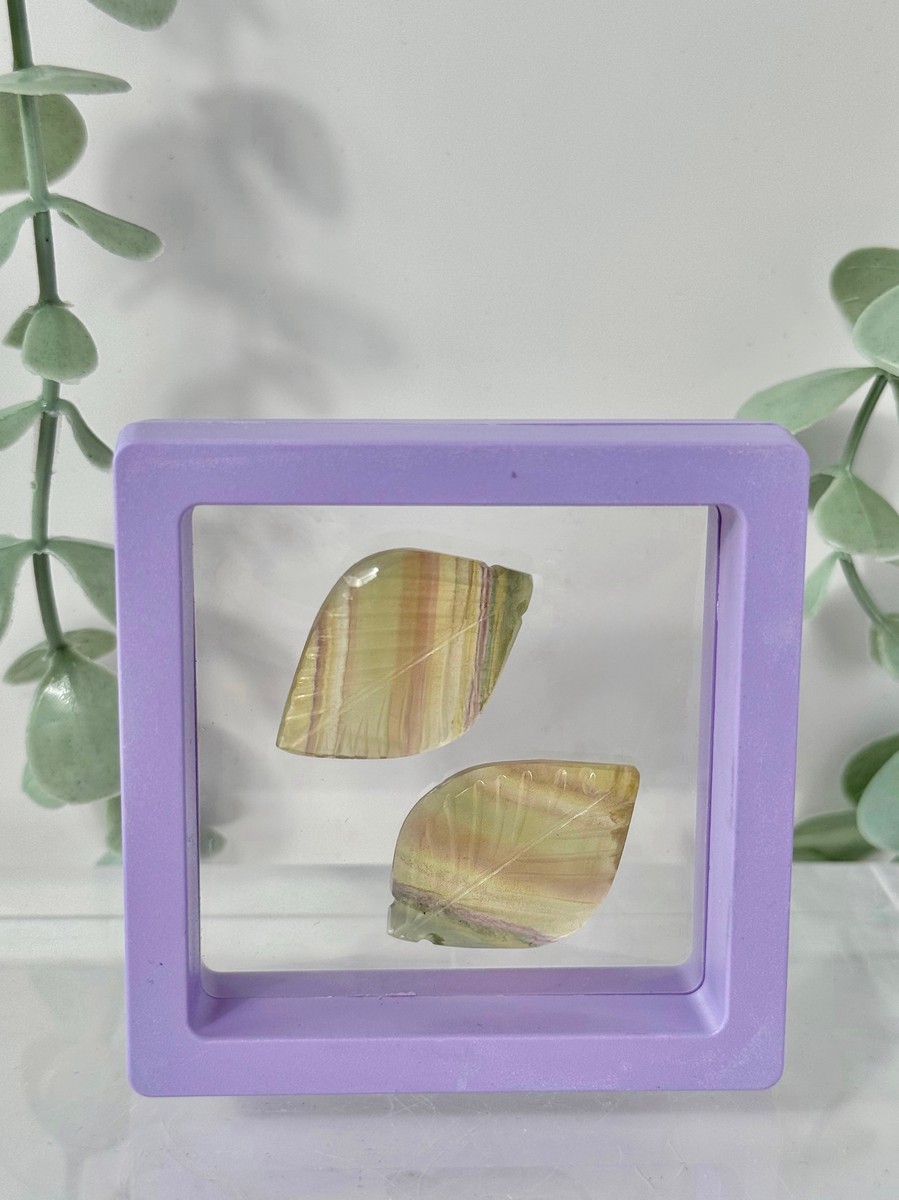 Rainbow Fluorite Hand Carved Leaf Set